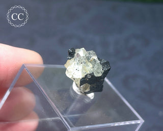 Aquamarine & Black Tourmaline - Namibia #2