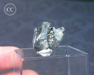 Aquamarine & Black Tourmaline - Namibia #3