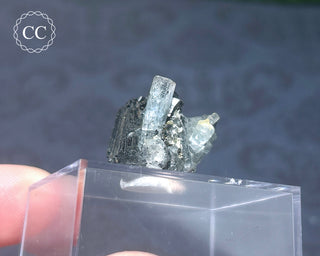 Aquamarine & Black Tourmaline - Namibia #3