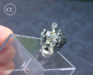 Aquamarine & Black Tourmaline - Namibia #3