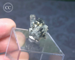 Aquamarine & Black Tourmaline - Namibia #3