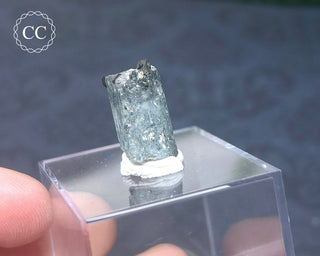 Aquamarine & Black Tourmaline - Namibia #1