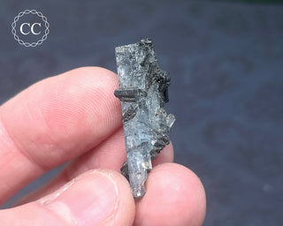 Aquamarine & Black Tourmaline - Namibia #5