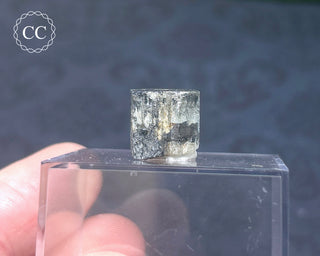 Aquamarine & Black Tourmaline - Namibia #6