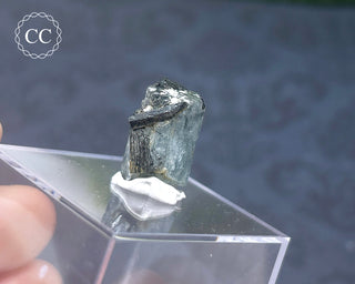 Aquamarine & Black Tourmaline - Namibia #1