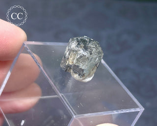 Aquamarine & Black Tourmaline - Namibia #6