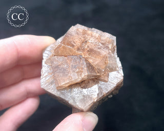 Aragonite - Cuenca #1