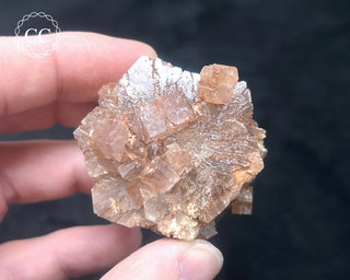Aragonite - Cuenca #7