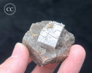Aragonite - Cuenca #8
