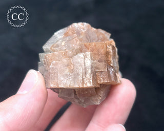 Aragonite - Cuenca #9