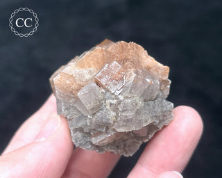 Aragonite - Cuenca #9