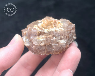 Aragonite - Cuenca #11