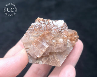 Aragonite - Cuenca #12