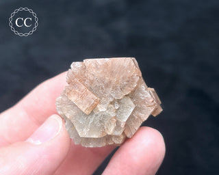 Aragonite - Cuenca #15