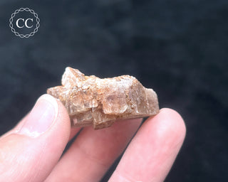 Aragonite - Cuenca #15