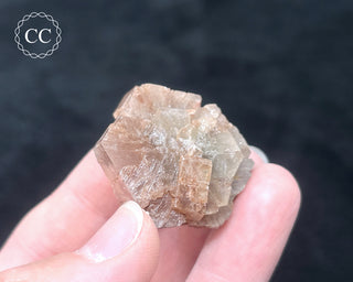 Aragonite - Cuenca #15