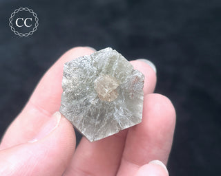 Aragonite - Cuenca #16