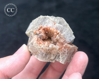 Aragonite - Cuenca #3