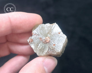 Aragonite - Cuenca #4