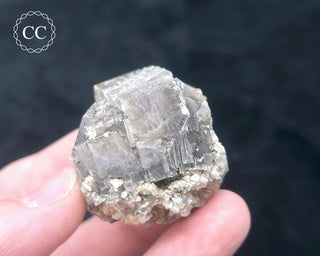 Aragonite - Cuenca #5