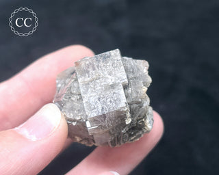 Aragonite - Cuenca #5