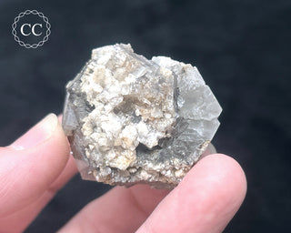 Aragonite - Cuenca #5