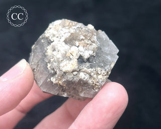 Aragonite - Cuenca #5