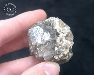 Aragonite - Cuenca #5