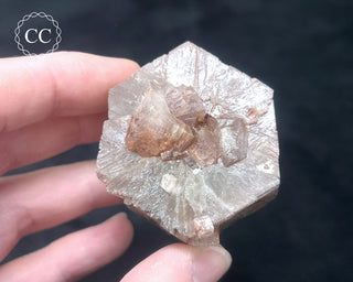 Aragonite - Cuenca #1