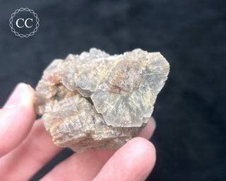Aragonite - Cuenca #6