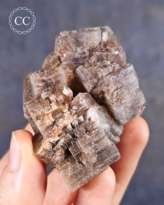 Aragonite - Cuenca #6