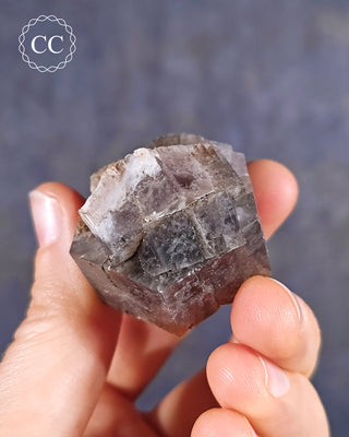 Aragonite - Cuenca #2