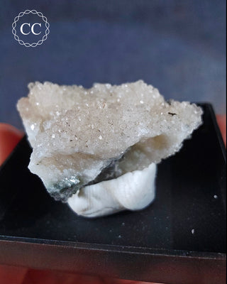 Aragonite Specimen - Sardinia #3