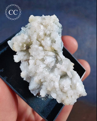 Aragonite Specimen from an unusual location, Sardinia.