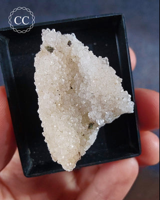 Aragonite Specimen from an unusual location, Sardinia.