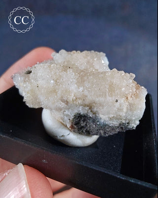 Aragonite Specimen - Sardinia #3
