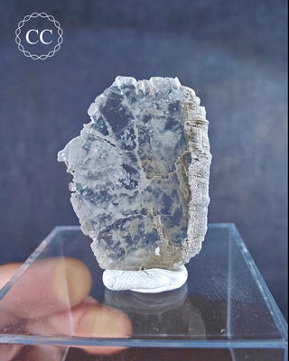 Aragonite Slice cut from larger crystals found in Spain. Shown on a display box.