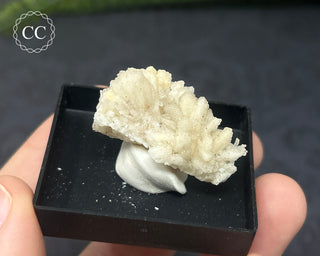 Aragonite Specimen - Sardinia #4