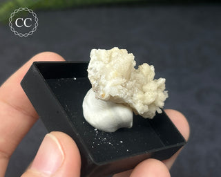 Aragonite Specimen - Sardinia #4