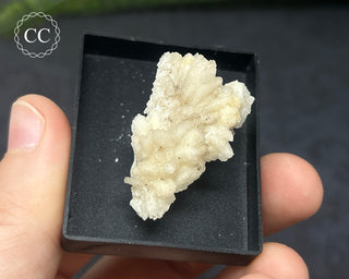 Aragonite Specimen - Sardinia #4