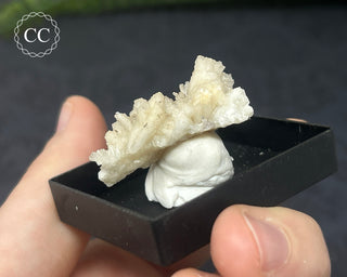 Aragonite Specimen - Sardinia #4