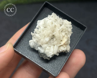 Aragonite Specimen - Sardinia #5