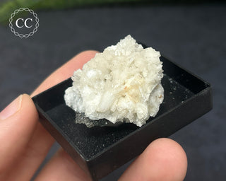 Aragonite Specimen - Sardinia #5