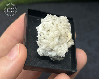 Aragonite Specimen - Sardinia #5