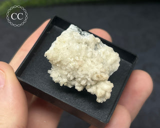 Aragonite Specimen - Sardinia #6