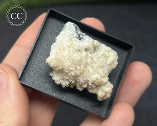 Aragonite Specimen - Sardinia #6