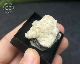 Aragonite Specimen - Sardinia #6