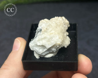 Aragonite Specimen - Sardinia #6