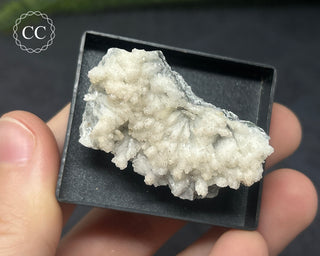 Aragonite Specimen - Sardinia #7