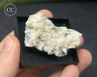 Aragonite Specimen - Sardinia #7